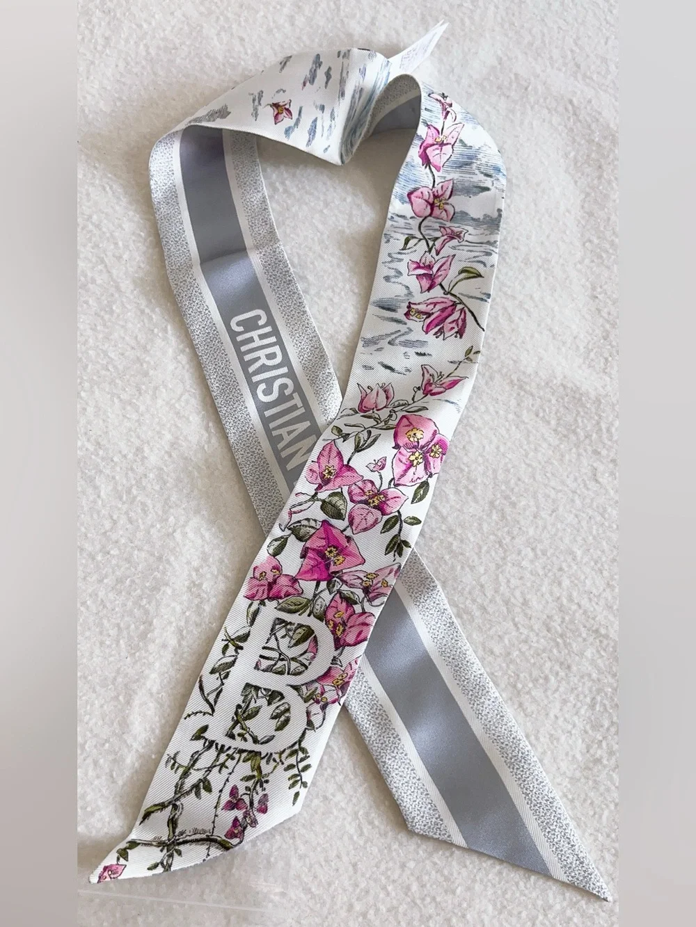 Dior Jardin  D’hiver Mitzah Silk Scarf